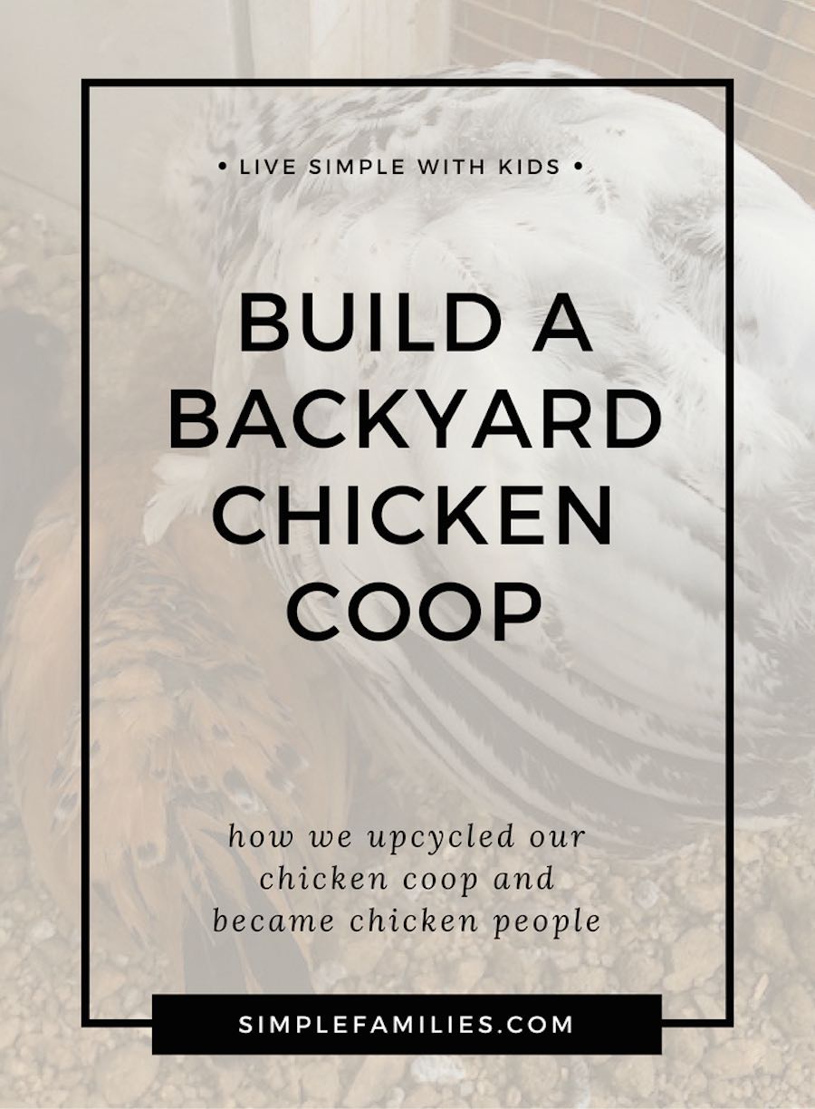 Why your family needs backyard chickens. We built a backyard chicken coop, it was easy to upcycle and great for families with kids.