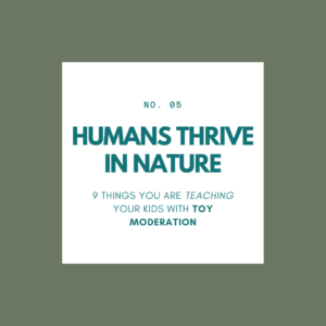 toy-minimalism-declutter-the-toys